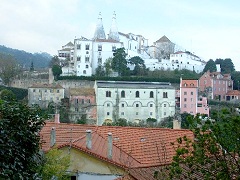 TlC1