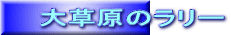 大草原のラリー